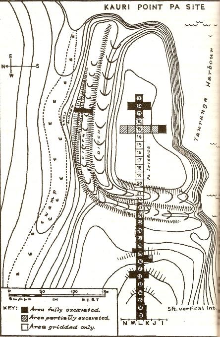 The site map in the first season's excavation report.