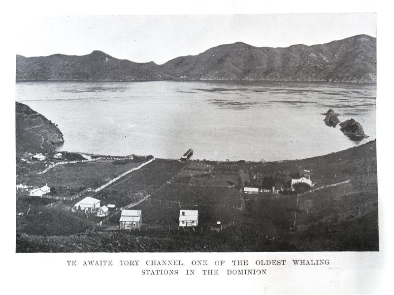 Te Awaite whaling station.jpg