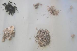 Deconstructed midden from R10/80-C59